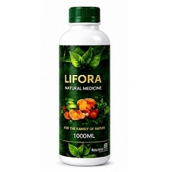Lifora-Divitiagreen-international