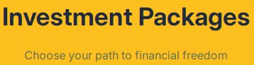 investment